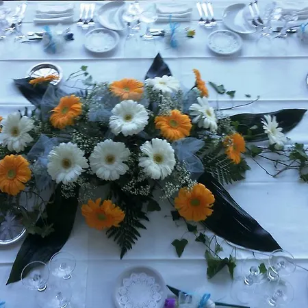 Progresso 4* San Benedetto del Tronto