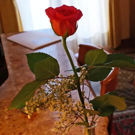 Progresso Hotel San Benedetto del Tronto