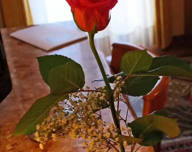 Progresso Hotel San Benedetto del Tronto